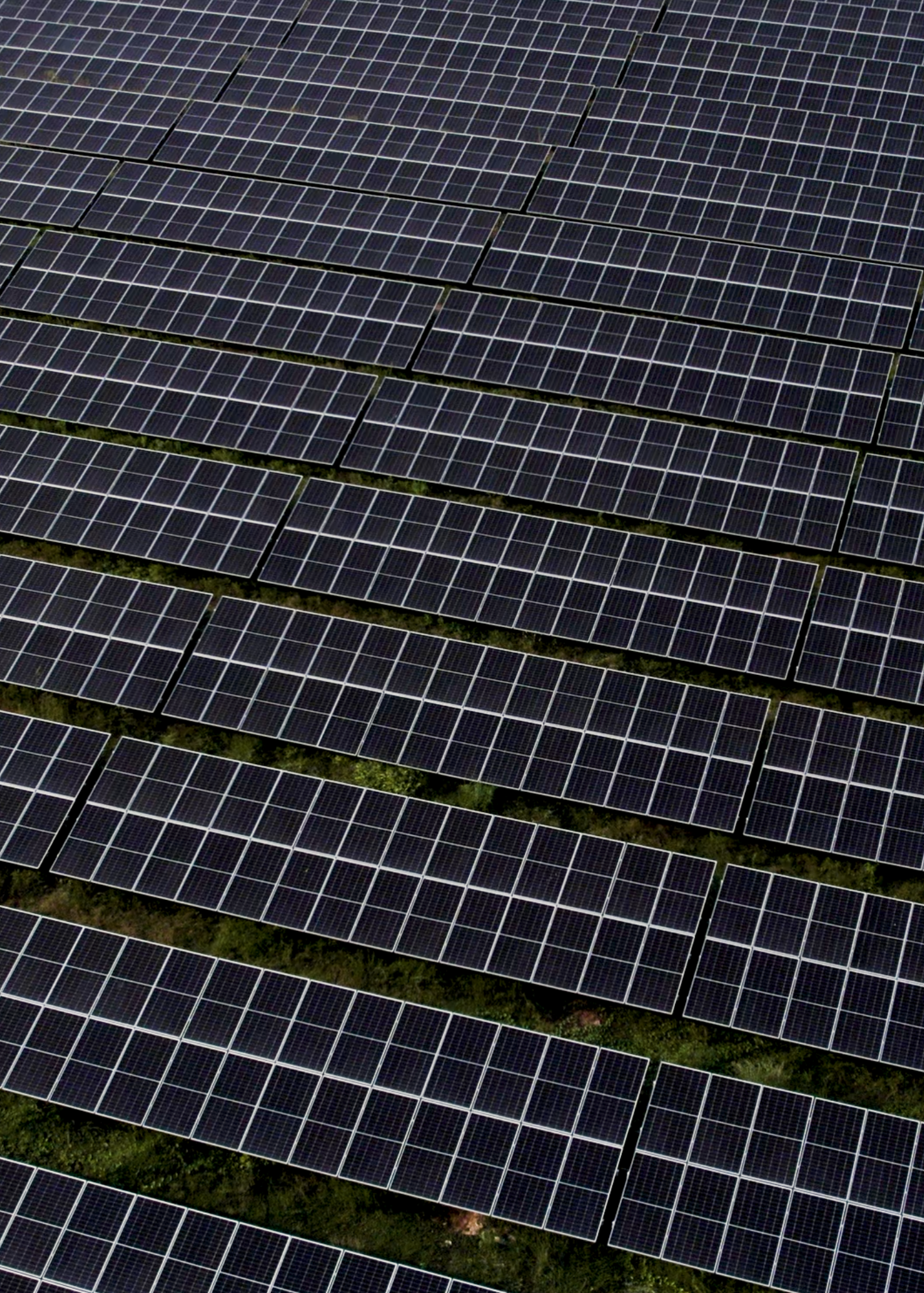 Image of 2nd solar park build by solar solution in raipur.